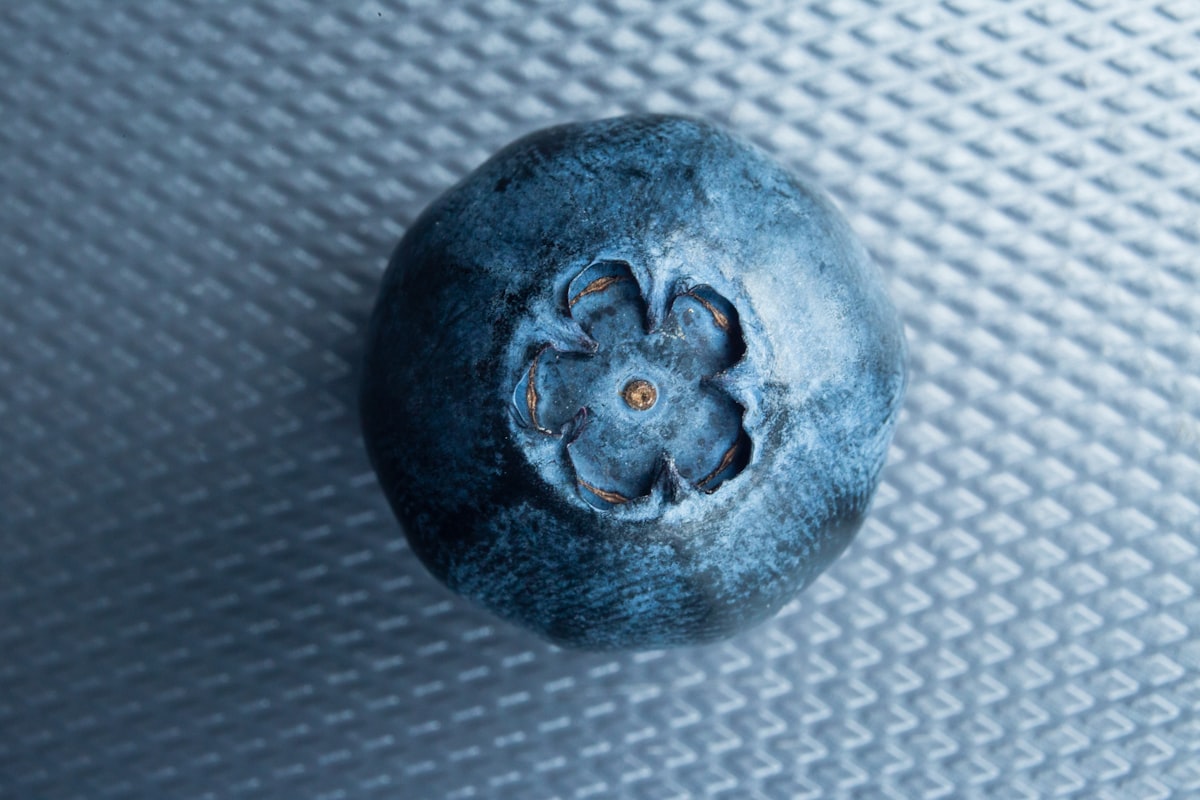 Blaubeeren - Gehirn-Superfood